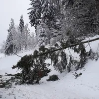 Unwettereinsätze in Thannhausen am 02.12.23_5.jpg