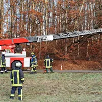 thl_einsatz_-_baum_auf_strasse_3_20191216_1509739933.jpg