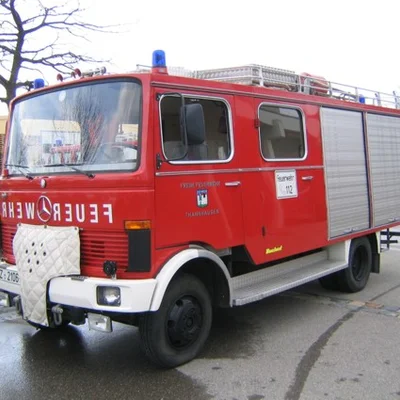 LF8.jpg