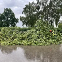 Baum auf Fahrbahn in Thannhausen am 08.06.24_03.jpg