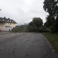 Baum auf Straße in Thannhausen am 29.6.21_2.jpg