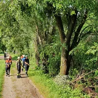Mehrere Bäume in Mindel in Thannhausen am 22.6.21_2.jpg