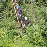 Mehrere Bäume in Mindel in Thannhausen am 22.6.21_3.jpg