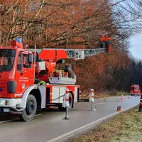 thl_einsatz_-_baum_auf_strasse_1_20191216_2016809580.jpg