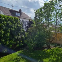 Brand am Gebäude in Thannhausen am 07.06.24_3.jpg