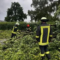 Baum auf Fahrbahn in Thannhausen am 08.06.24_1.jpg