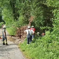 Mehrere Bäume in Mindel in Thannhausen am 22.6.21_1.jpg