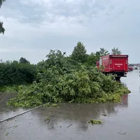 Baum auf Fahrbahn in Thannhausen am 08.06.24_02.jpg