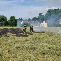 Wiesenbrand in Münsterhausen am 01.06.23_1.jpg
